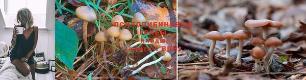 первитин Вязники