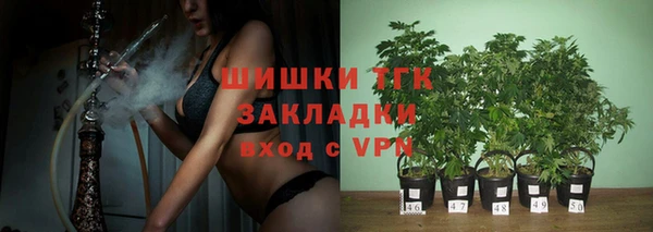 скорость Горняк