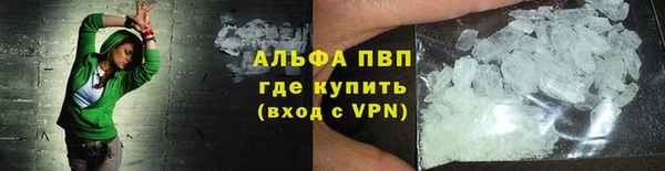 гашик Вяземский