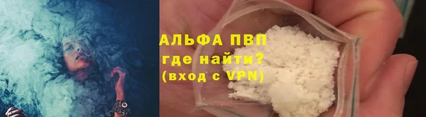 гашик Вяземский
