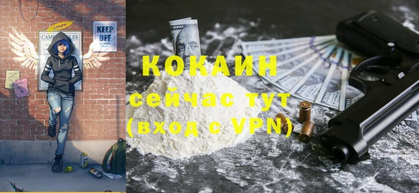 стаф Вязьма