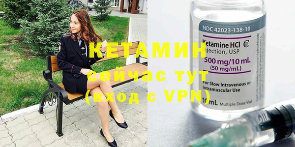 стаф Вязьма