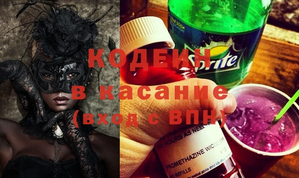 гашик Вяземский