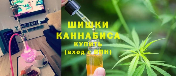 крисы Горнозаводск