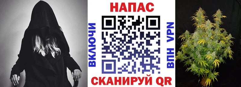 Бошки Шишки семена  Купить где  Когалым 